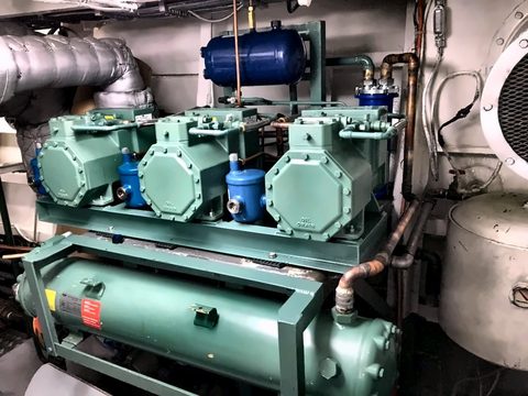 Multi-skid plant