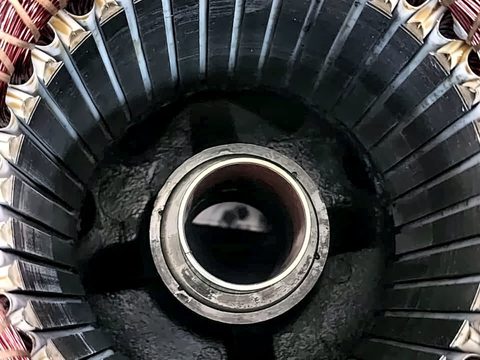 Motor rotor